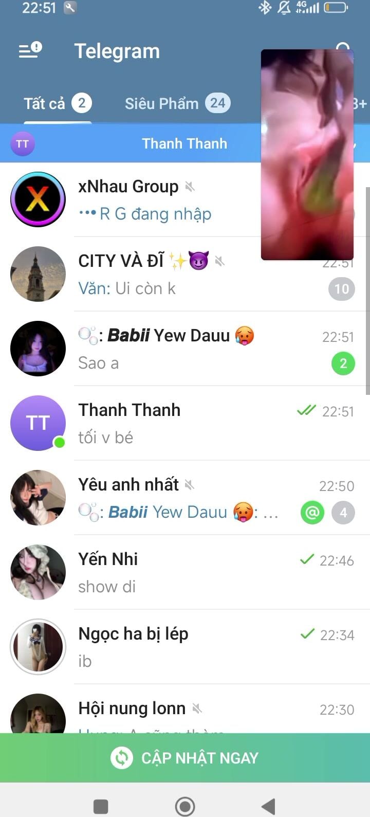 chat x vs bé 208